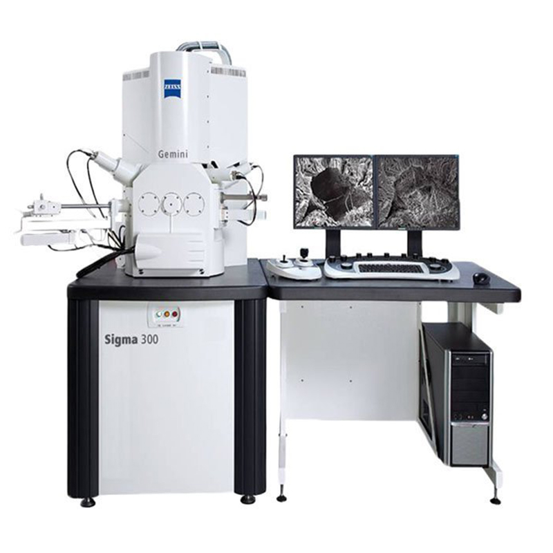 蔡司Sigma300电子扫描显微镜